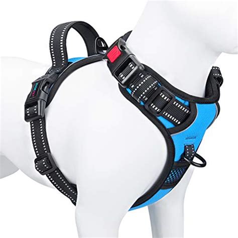 walk with love harness